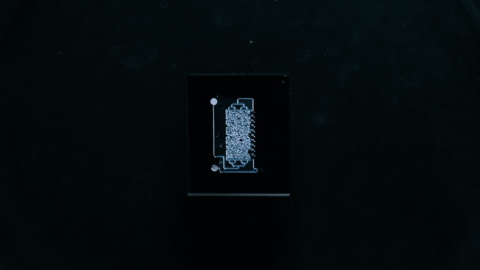 نماذج Rock-on-Chip الدقيقة